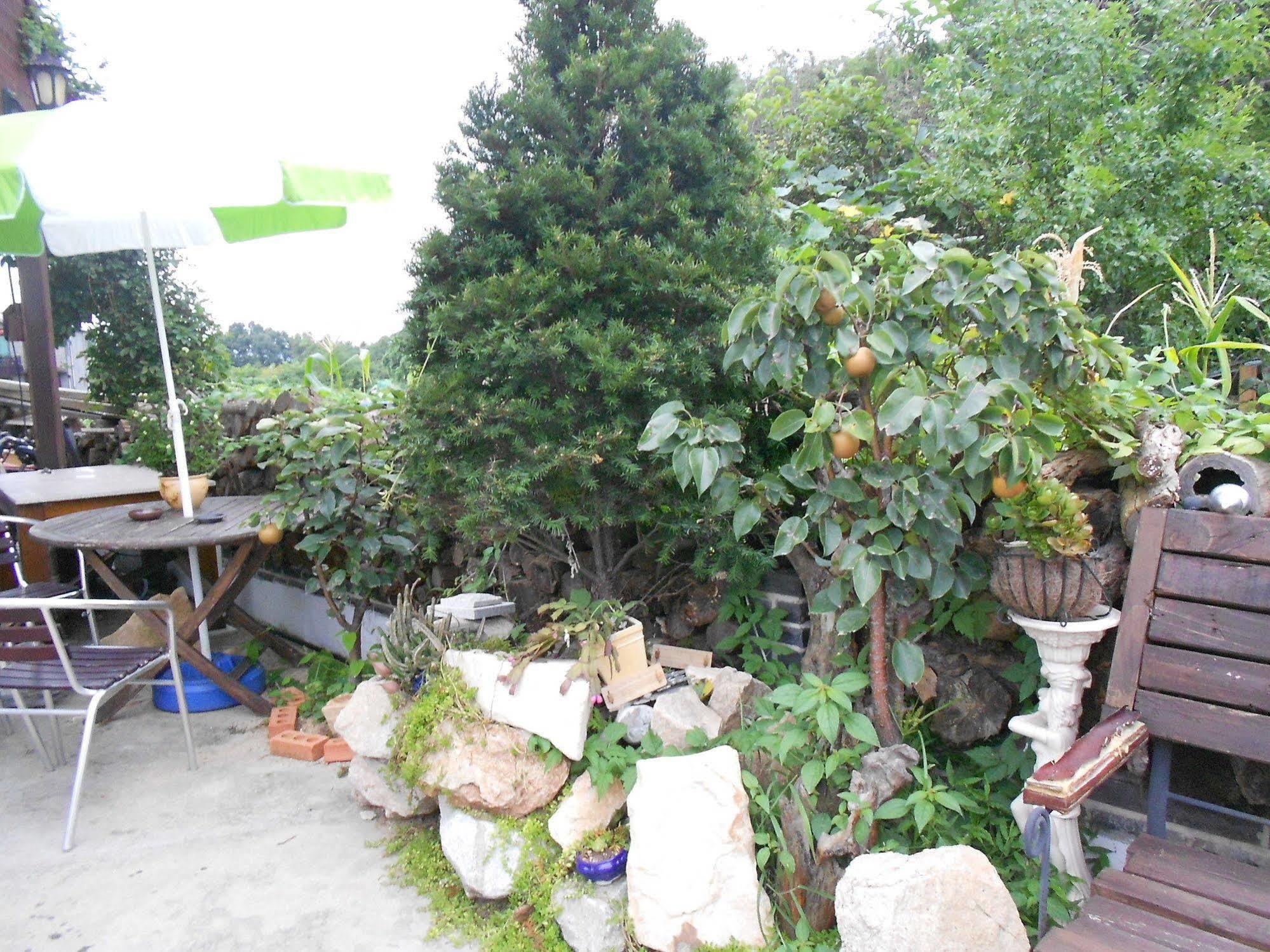 Elvis Bnb Incheon Luaran gambar